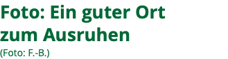 Foto: Ein guter Ort zum Ausruhen (Foto: F.-B.)