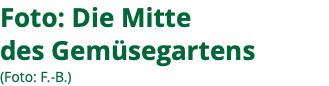 Foto: Die Mitte des Gemüsegartens (Foto: F.-B.)