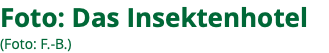 Foto: Das Insektenhotel (Foto: F.-B.)